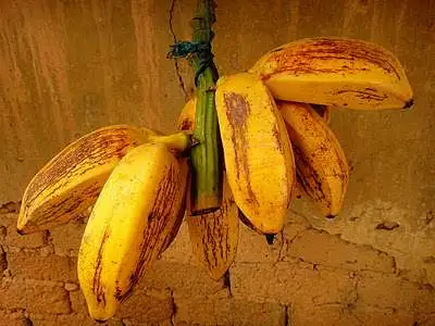 bananas três-quinas (Foto: blog Come-se)