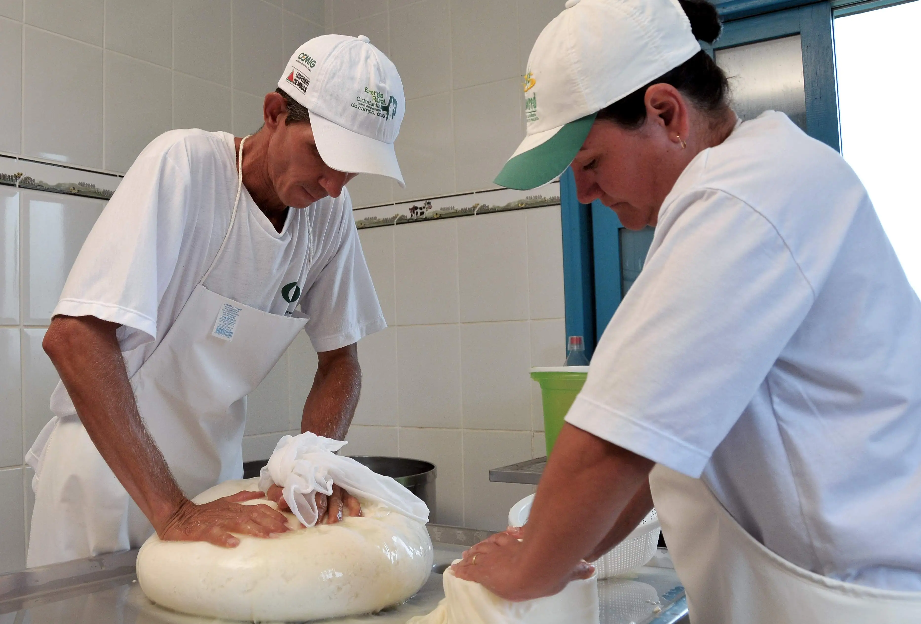 Cobertura da produção de queijos artesanais, tendo em vista a publicação da Lei 20.549/12